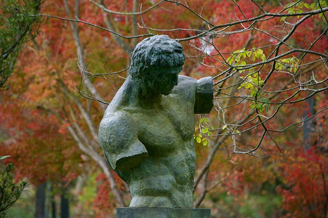Obra de José Fioravanti