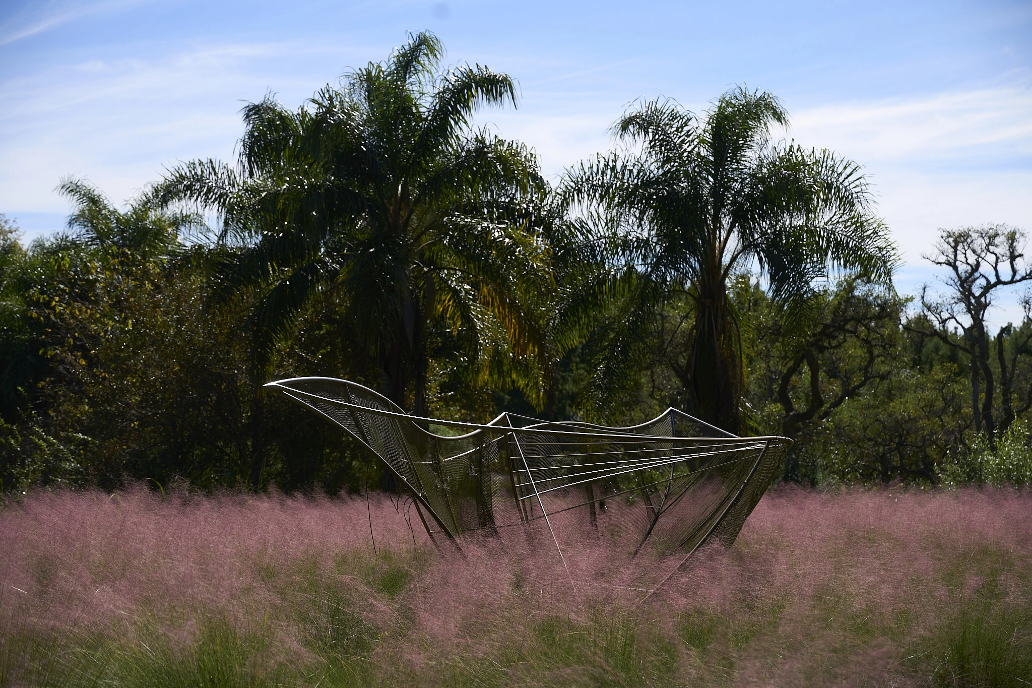 Obra entre gramíneas rosadas y árboles
