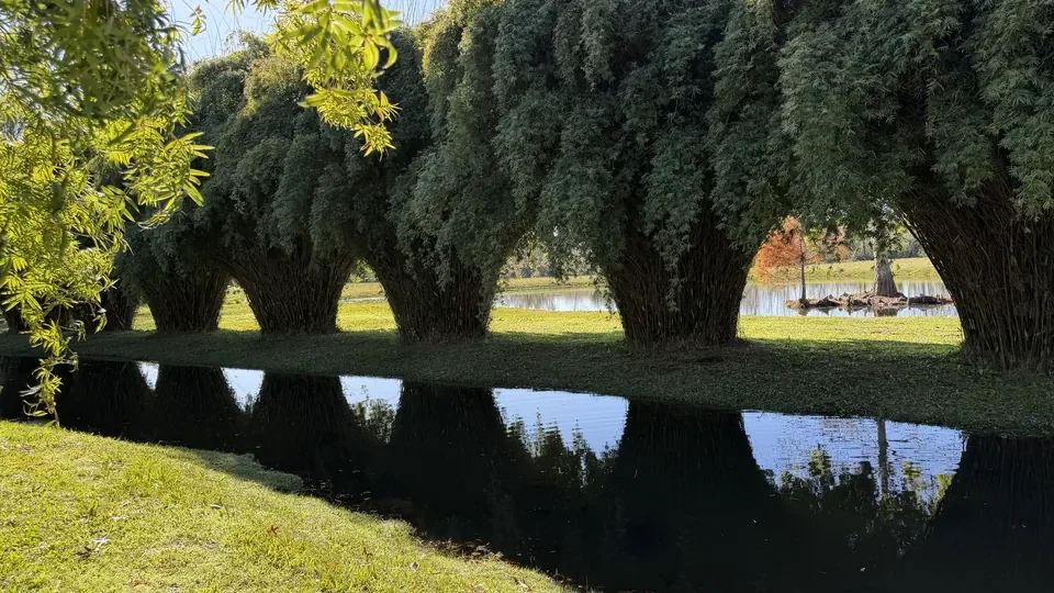 Naturaleza y bienestar en la Isla