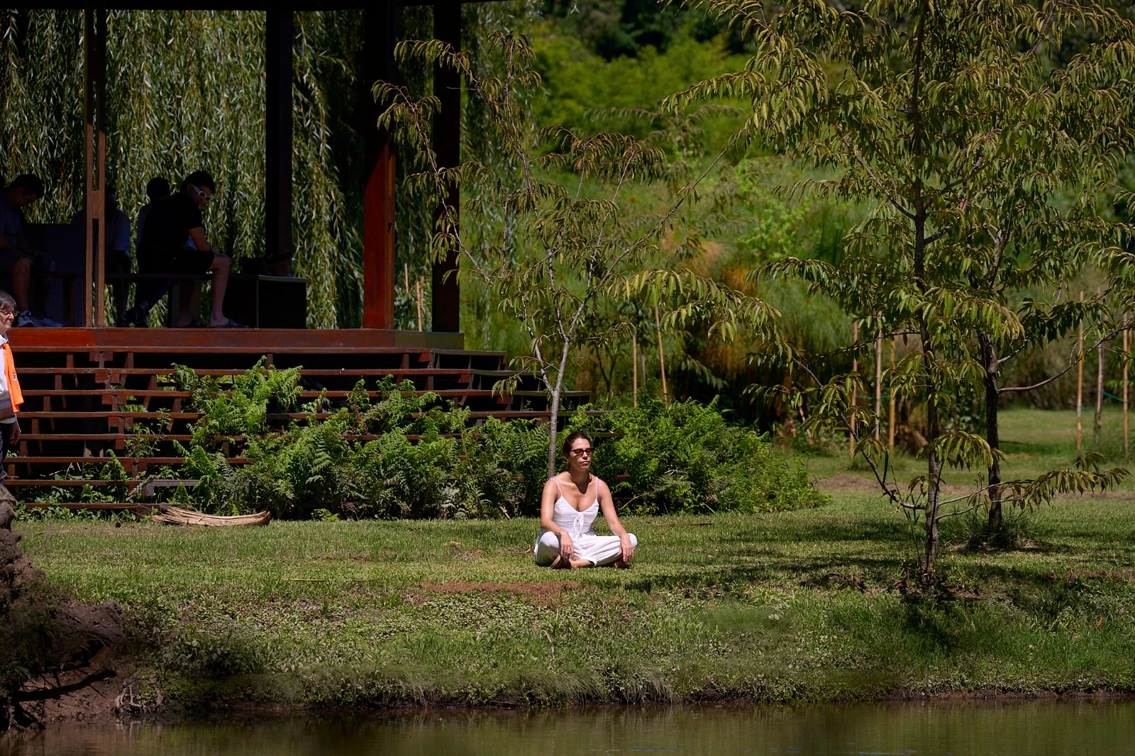 Una persona en una pausa entre árboles junto al agua