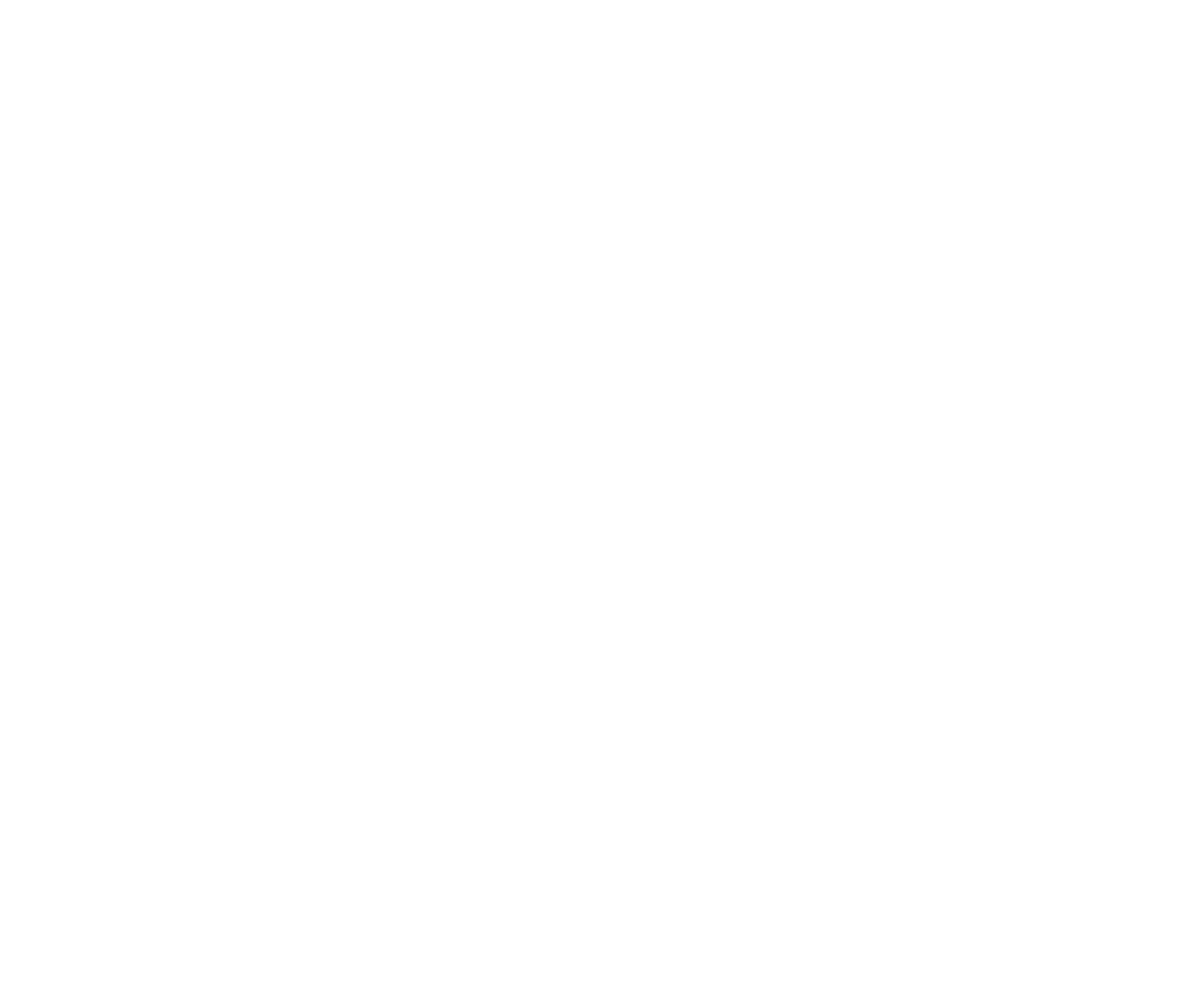 Amigos de la Isla