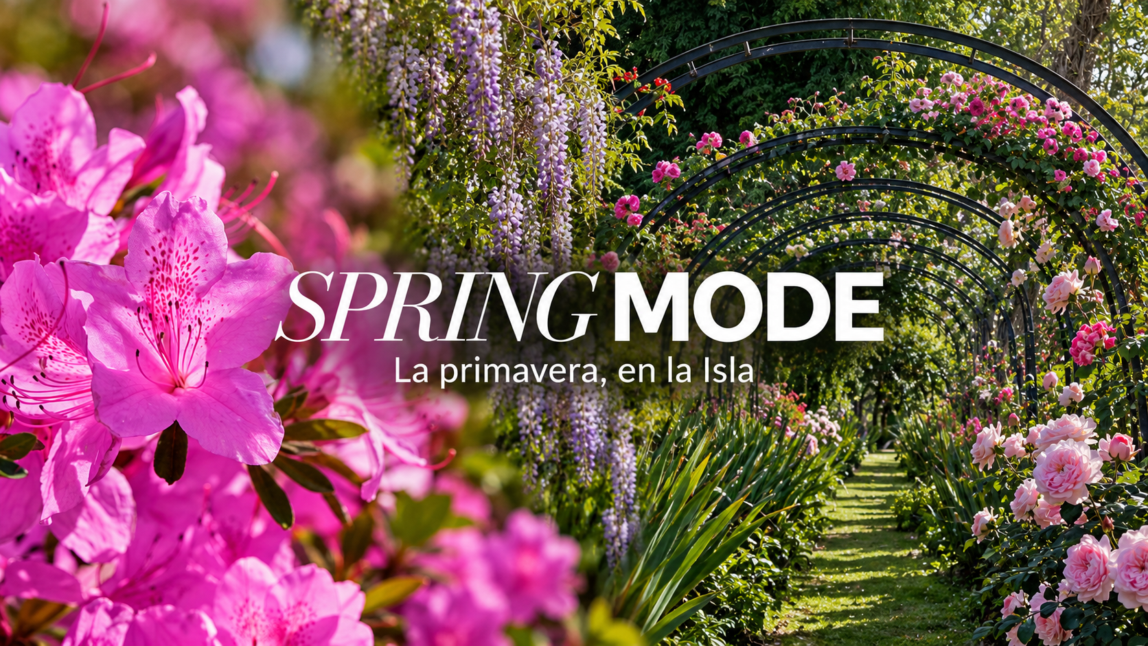 Spring Mode. La primavera, en la Isla.